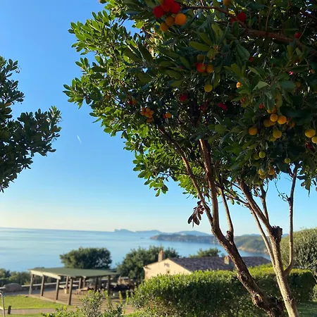 Pedramare ホテル *